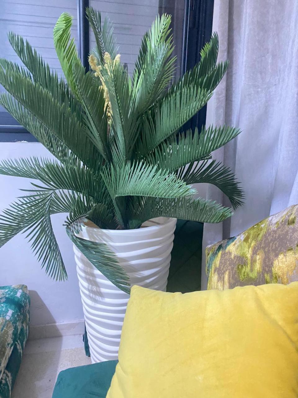 Cosy & Magnifique Appartement Marrakech Marrakesh Eksteriør bilde